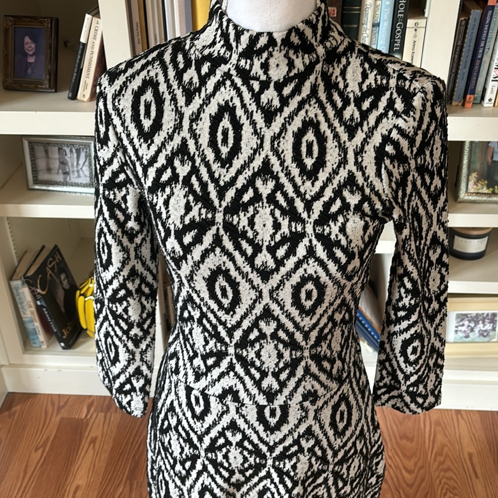 NWT H&M Black White Long Sleeve Mock Turtleneck Fit & Flare Dress Small Casual - Picture 2 of 11